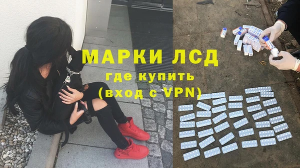 ешки Богданович