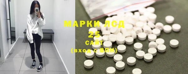 крисы Богородицк