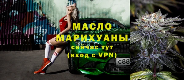 крисы Богородицк