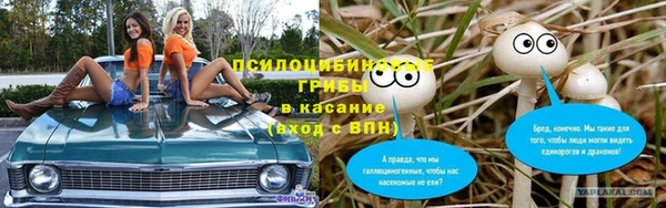 ALPHA PVP Беломорск