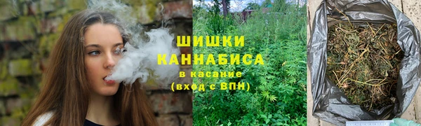 ешки Богданович