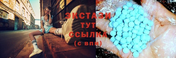 крисы Богородицк