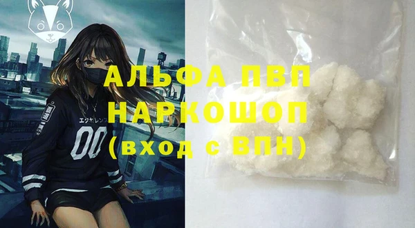крисы Богородицк