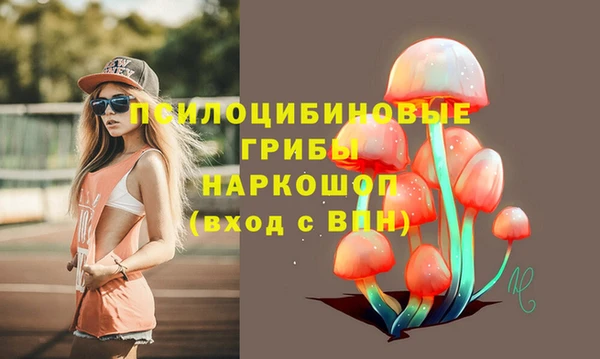 ALPHA PVP Беломорск