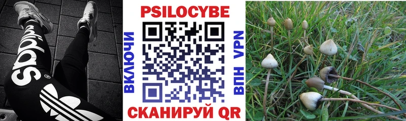 Галлюциногенные грибы прущие грибы  mega зеркало  Невель 